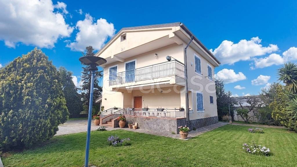 immagine annuncio 8 di 11