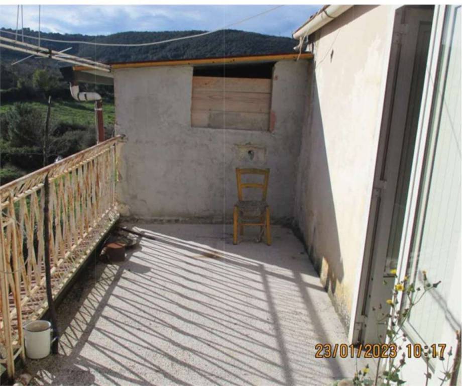 immagine annuncio 13 di 14