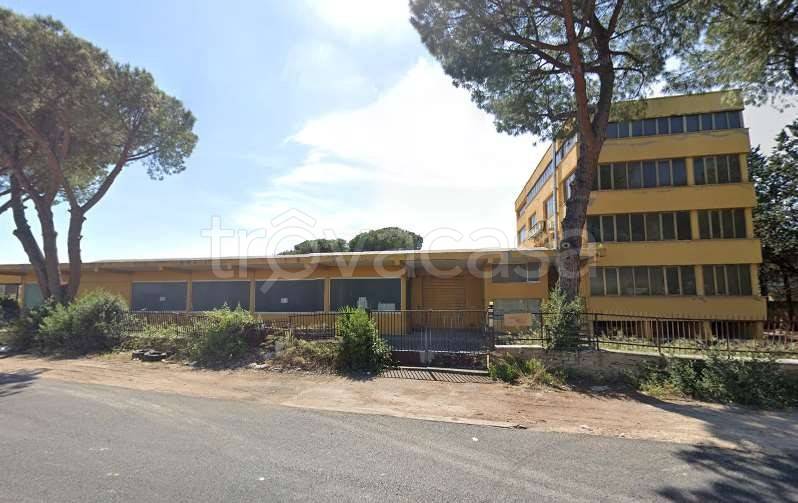 immagine annuncio 8 di 12