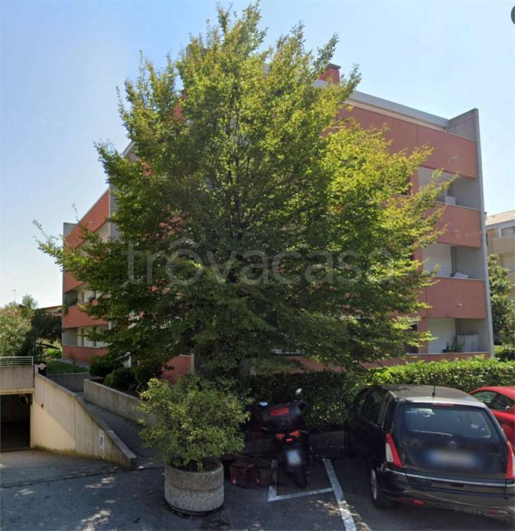 immagine annuncio 9 di 12