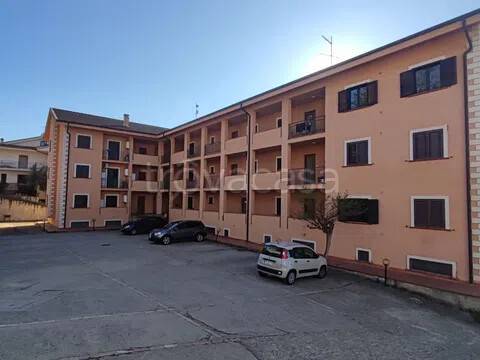 immagine annuncio 7 di 14
