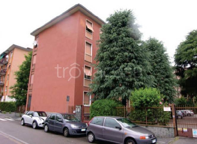 immagine annuncio 5 di 15