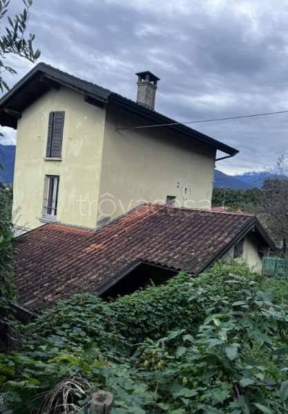 immagine annuncio 2 di 14
