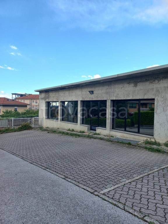 immagine annuncio 1 di 11