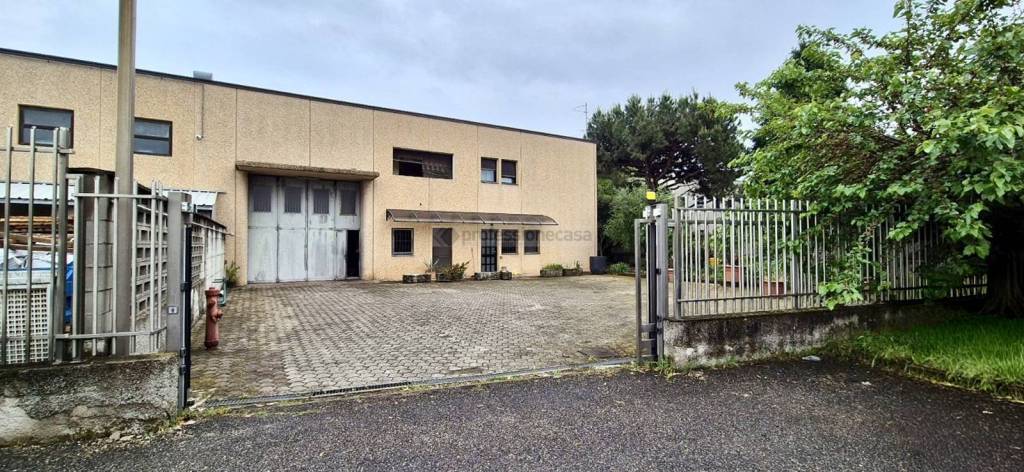 immagine annuncio 3 di 15
