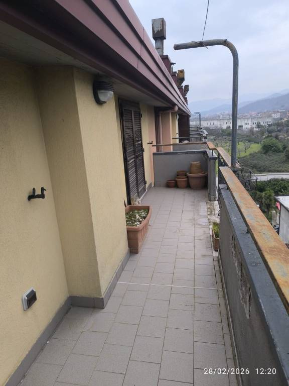 immagine annuncio 8 di 9