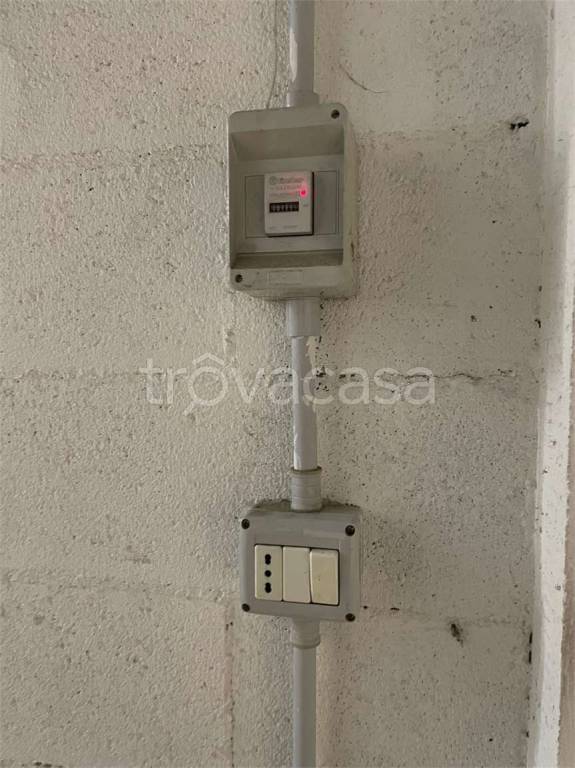 immagine annuncio 12 di 14
