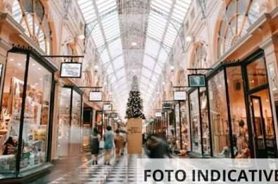 immagine annuncio 3 di 13