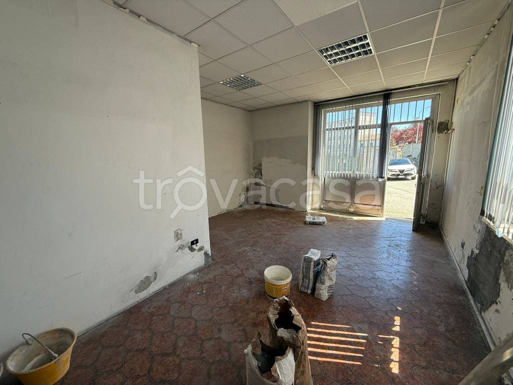 immagine annuncio 2 di 12