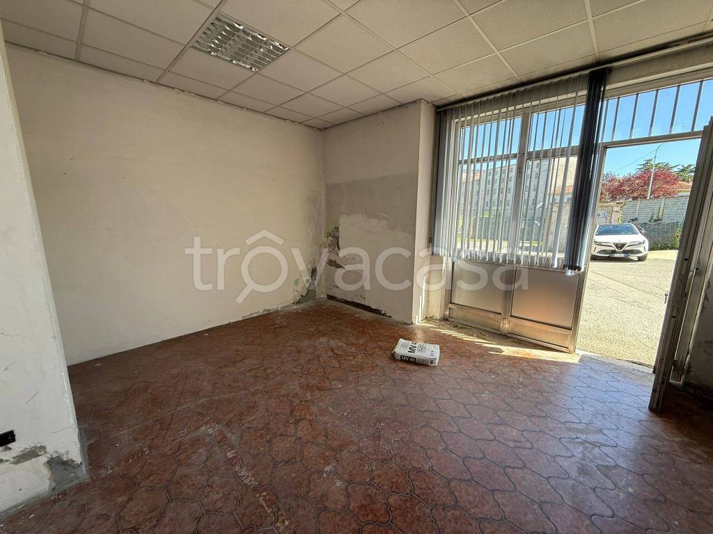 immagine annuncio 4 di 12