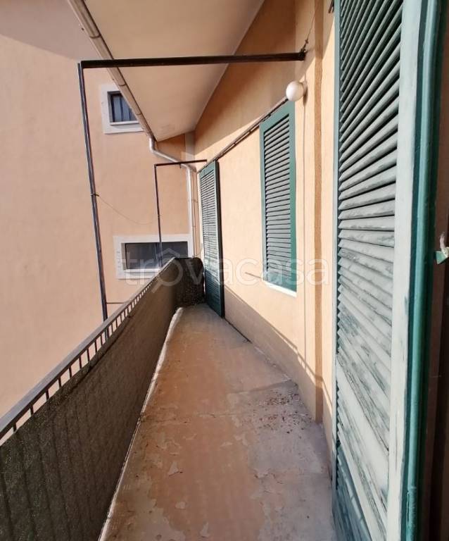 immagine annuncio 9 di 14