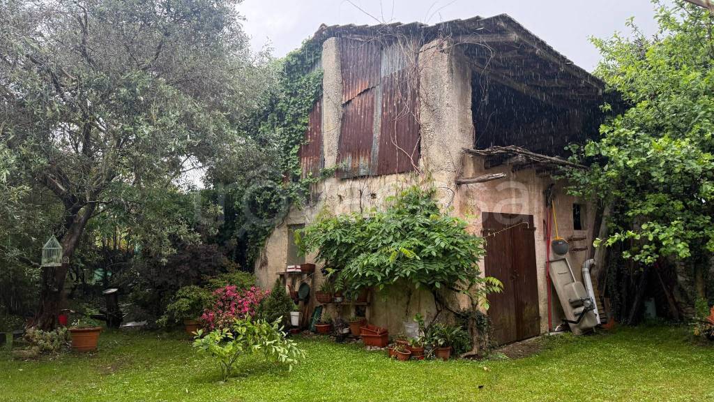 immagine annuncio 1 di 13