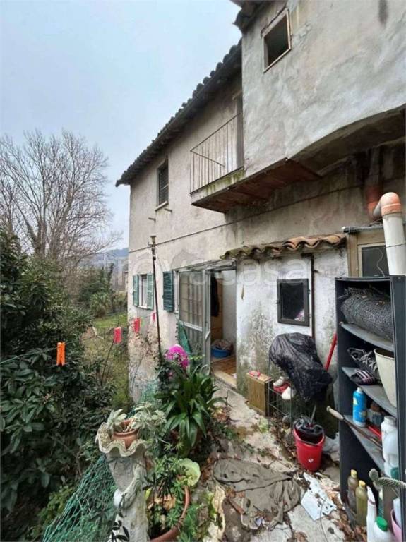 immagine annuncio 7 di 14