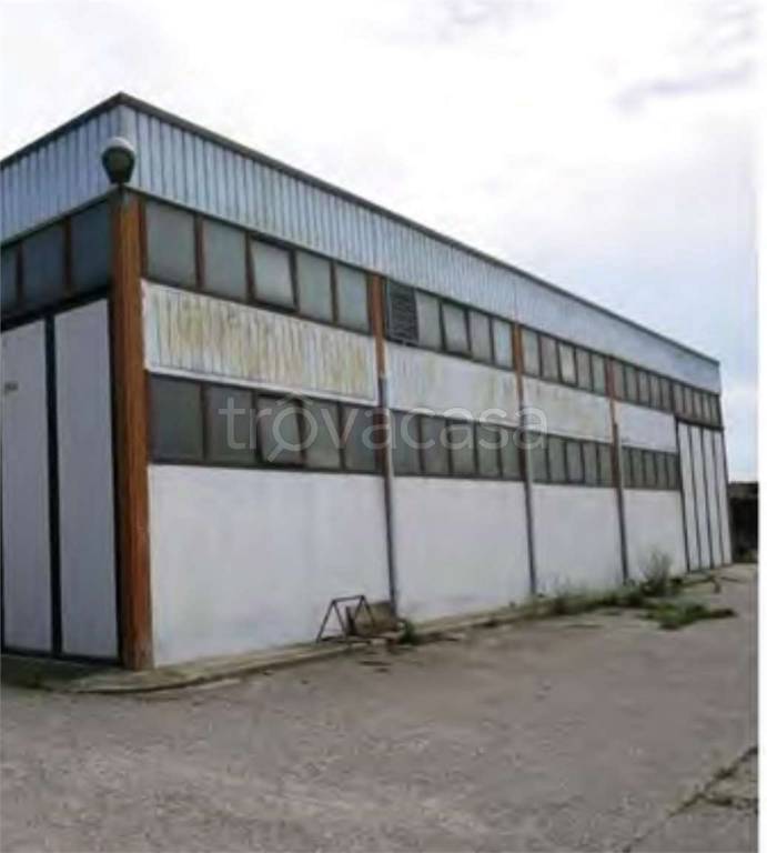 immagine annuncio 7 di 12