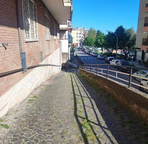 immagine annuncio 3 di 8