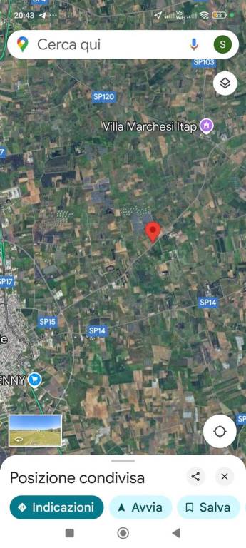 immagine annuncio 2 di 4