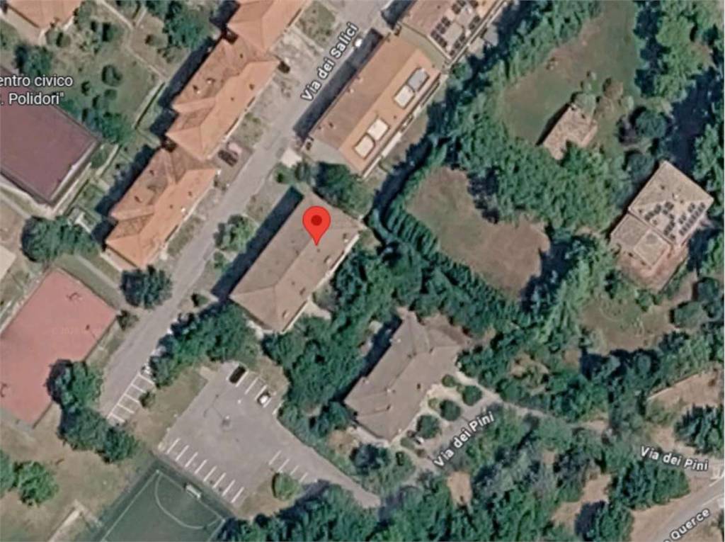 immagine annuncio 12 di 14