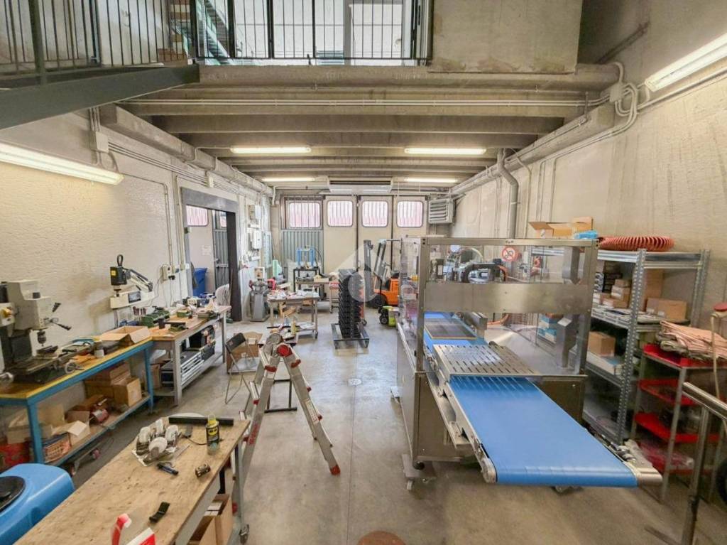 immagine annuncio 9 di 15