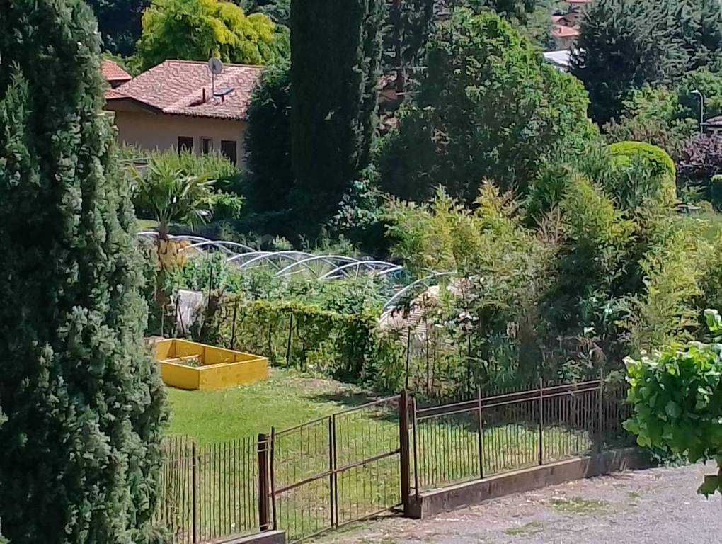 immagine annuncio 3 di 11