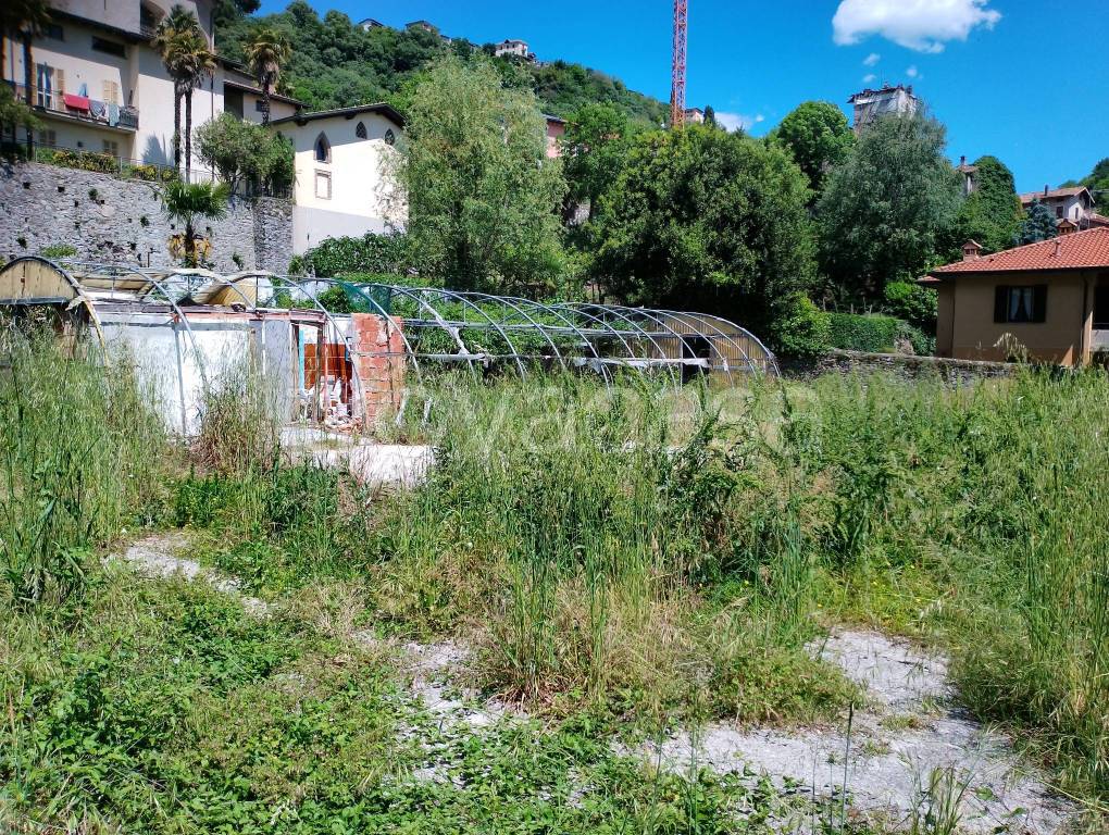 immagine annuncio 4 di 11