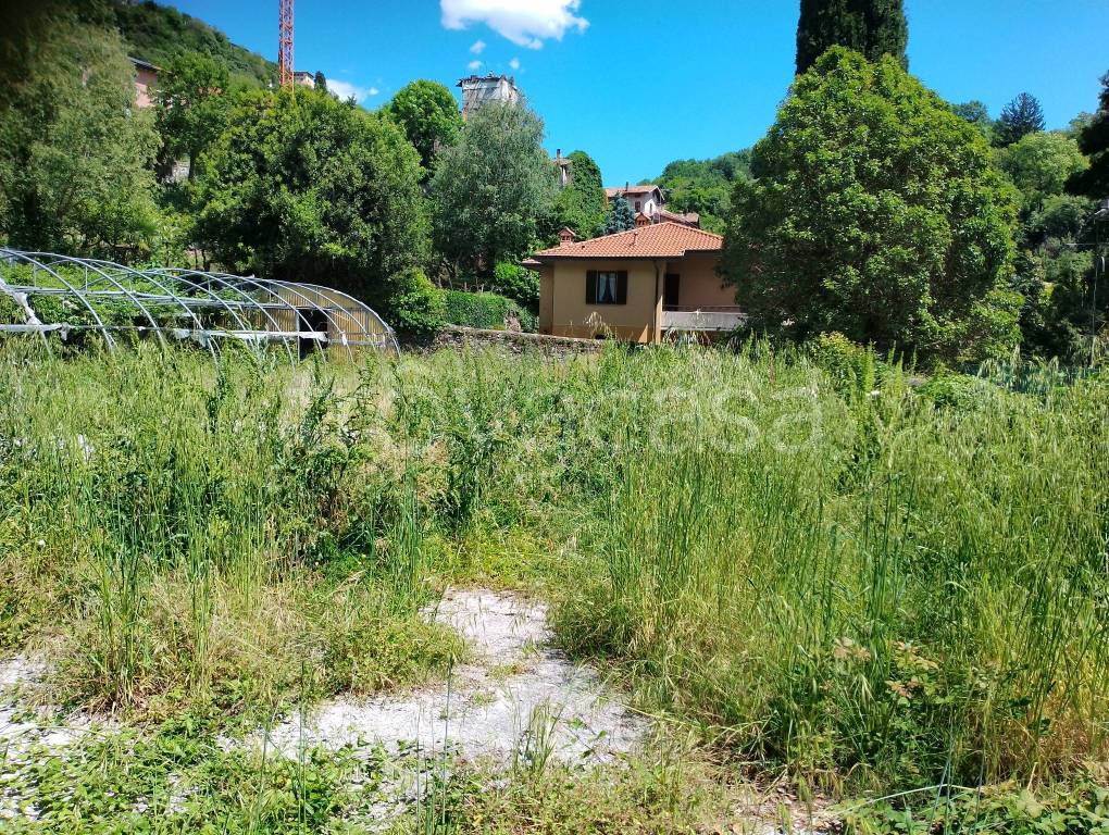 immagine annuncio 5 di 11