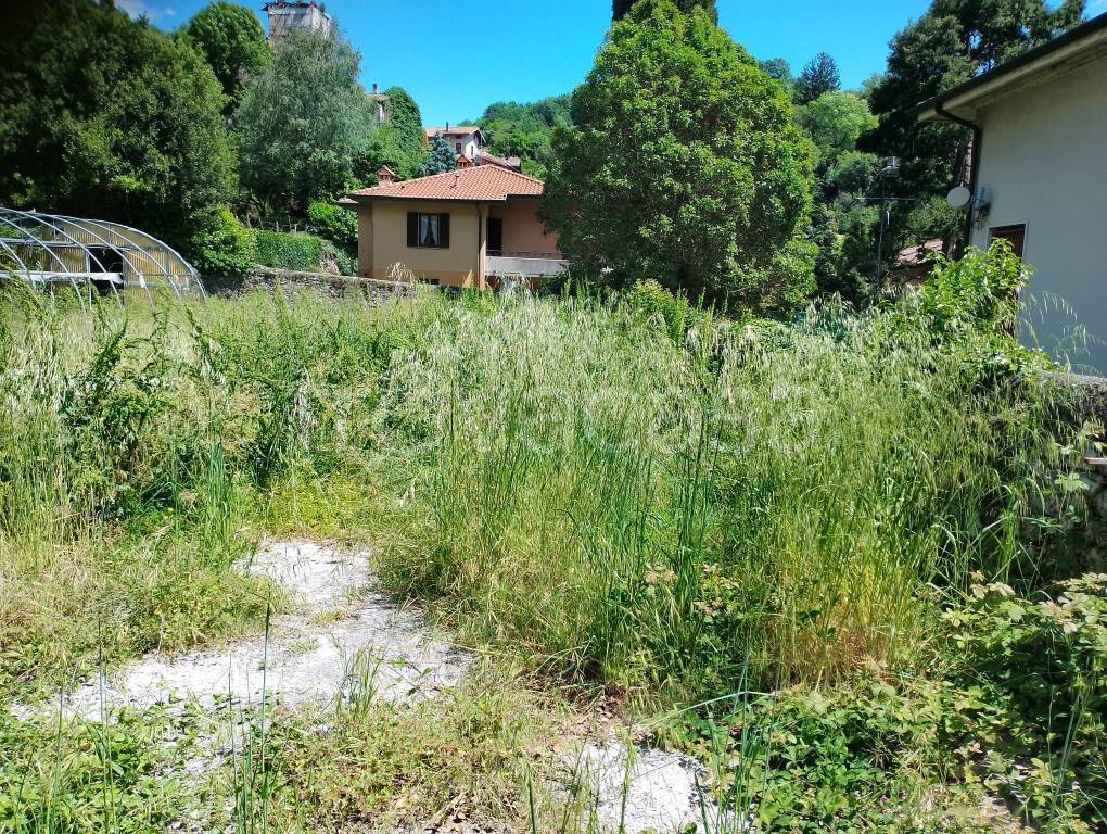 immagine annuncio 6 di 11