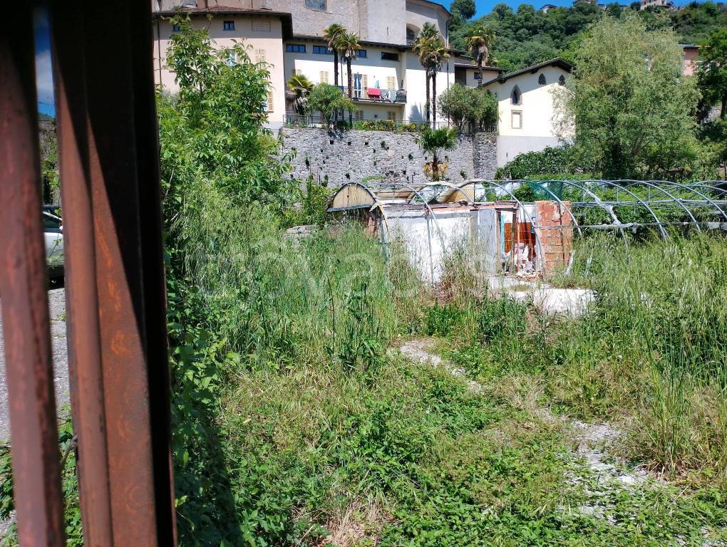 immagine annuncio 7 di 11