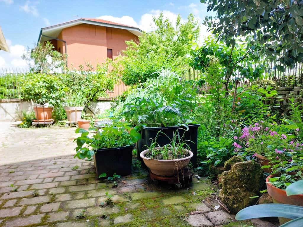 immagine annuncio 6 di 15