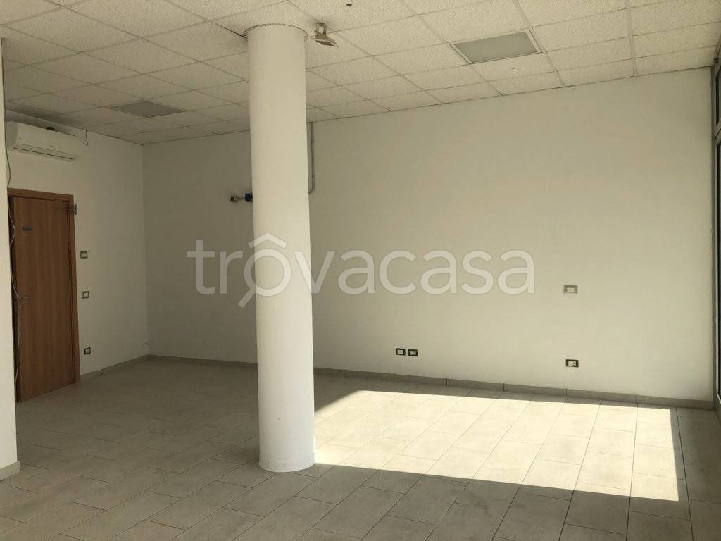 immagine annuncio 1 di 8