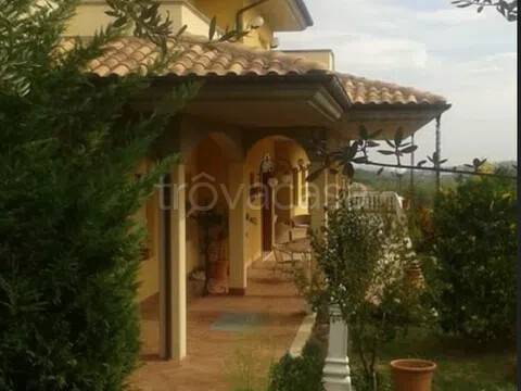 immagine annuncio 3 di 11