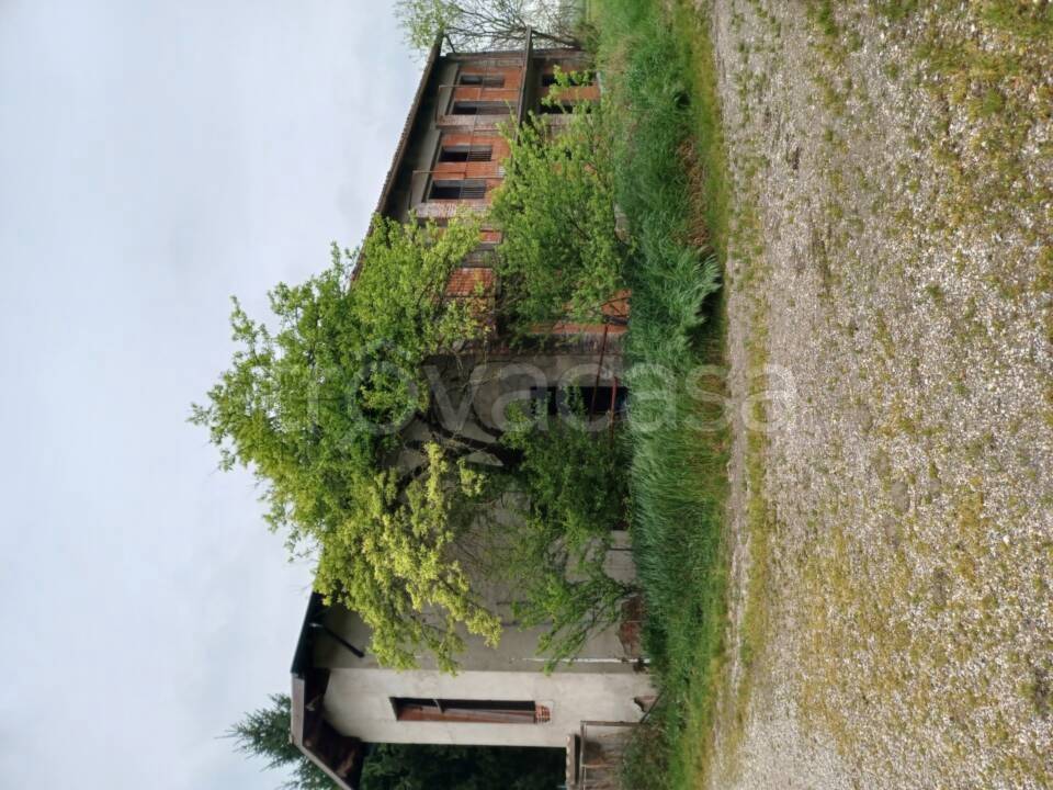immagine annuncio 3 di 8
