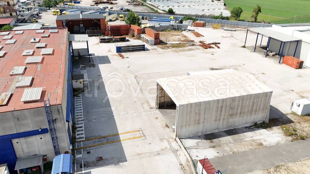 immagine annuncio 3 di 11
