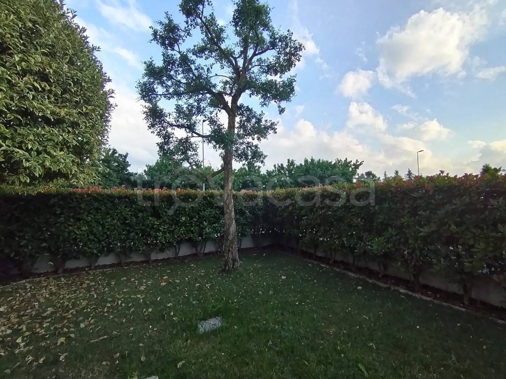 immagine annuncio 3 di 11