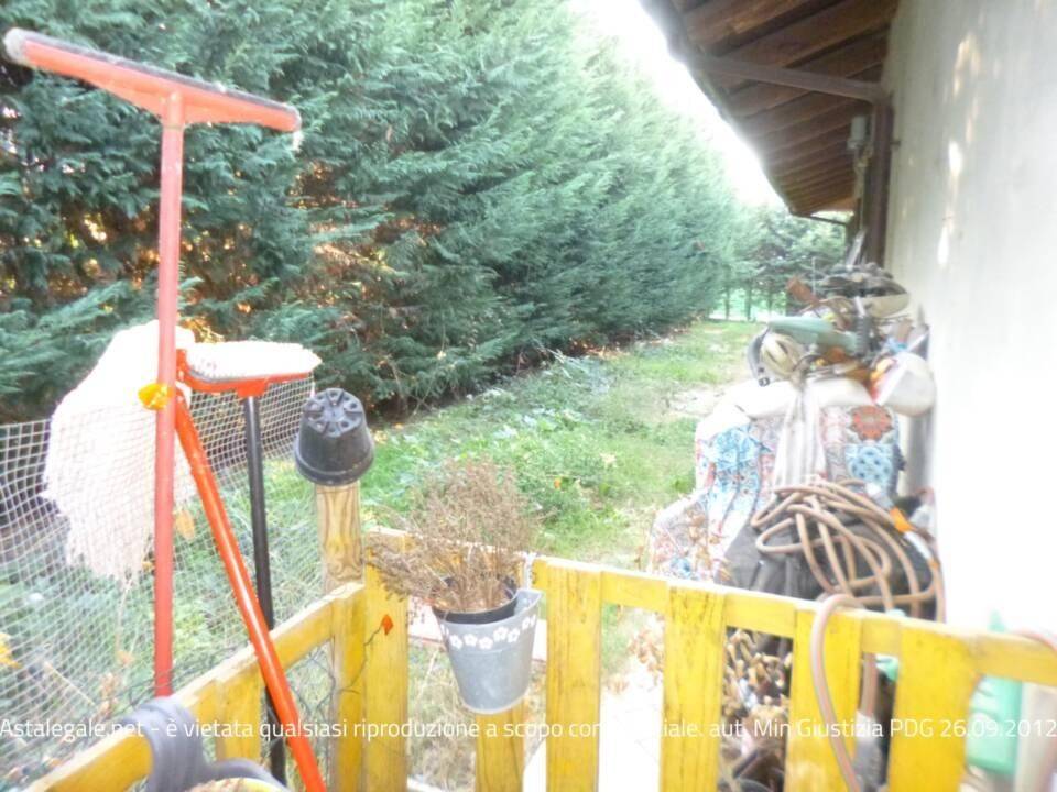 immagine annuncio 4 di 14