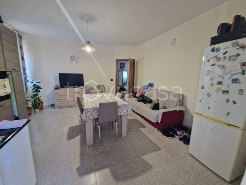 immagine annuncio 1 di 14