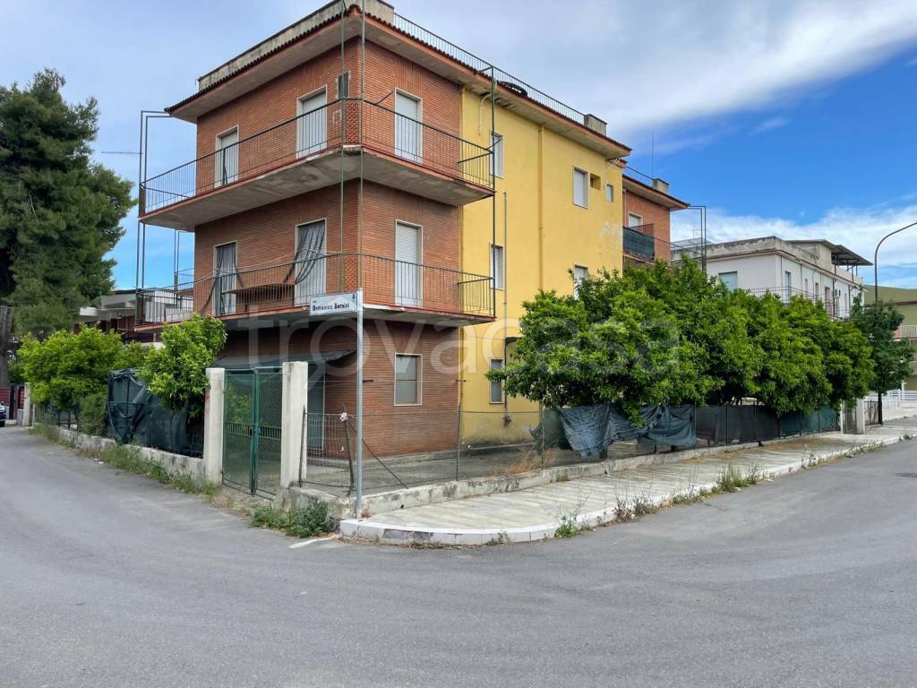 immagine annuncio 9 di 15