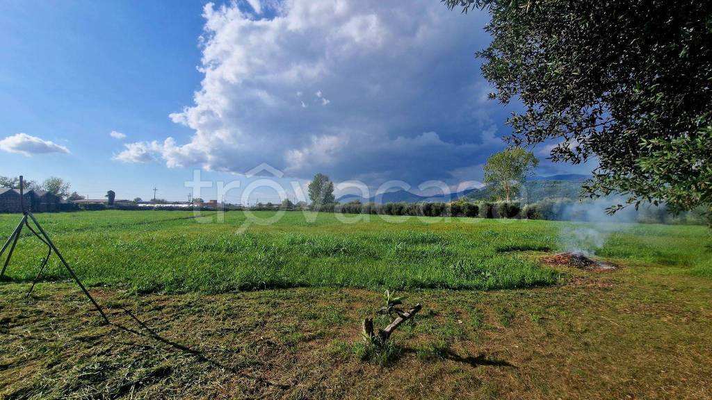 immagine annuncio 8 di 13