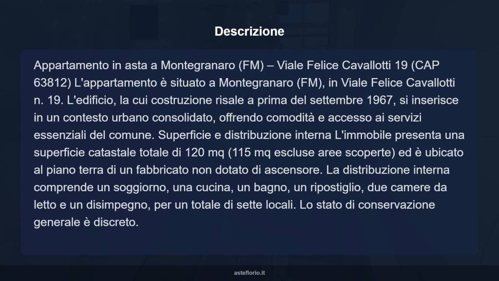 immagine annuncio 14 di 15