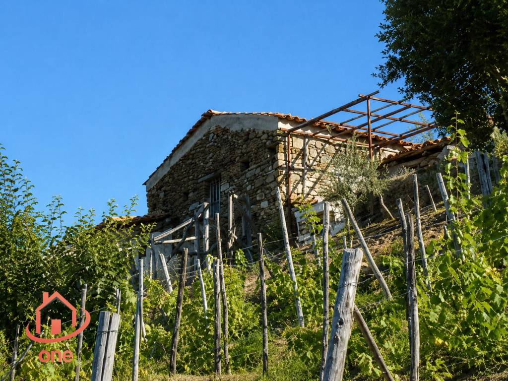 immagine annuncio 6 di 9