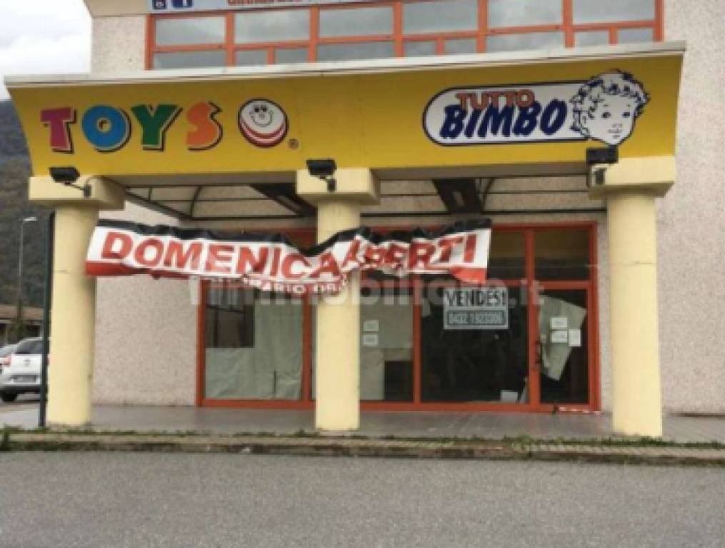 immagine annuncio 1 di 6