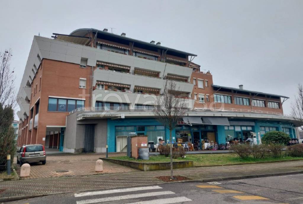 immagine annuncio 1 di 11