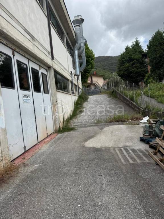 immagine annuncio 8 di 9
