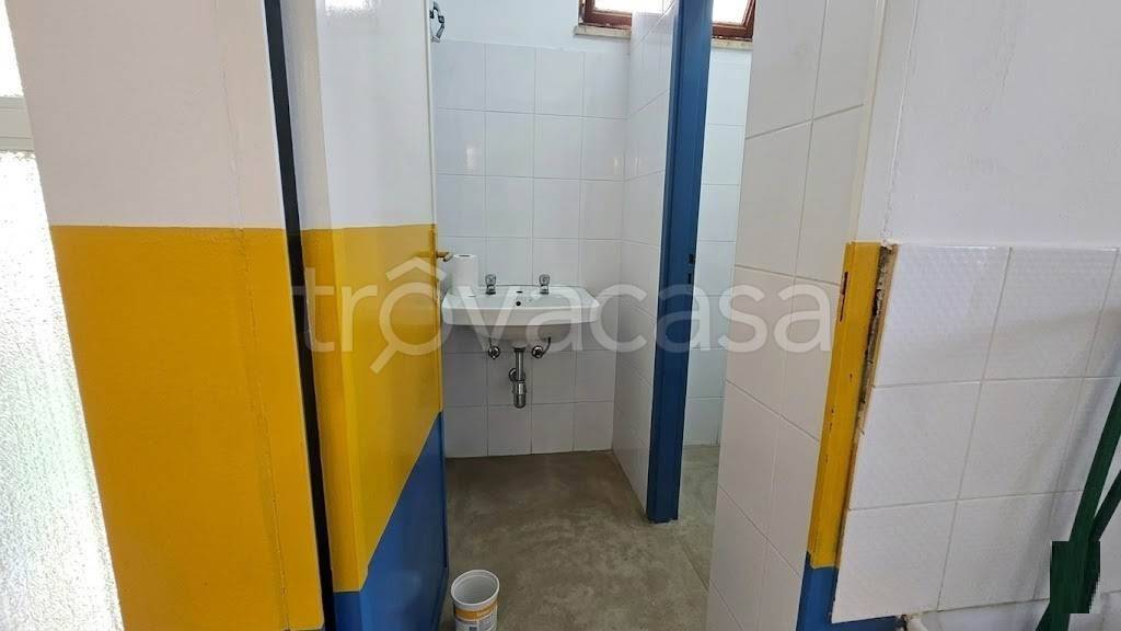 immagine annuncio 10 di 14