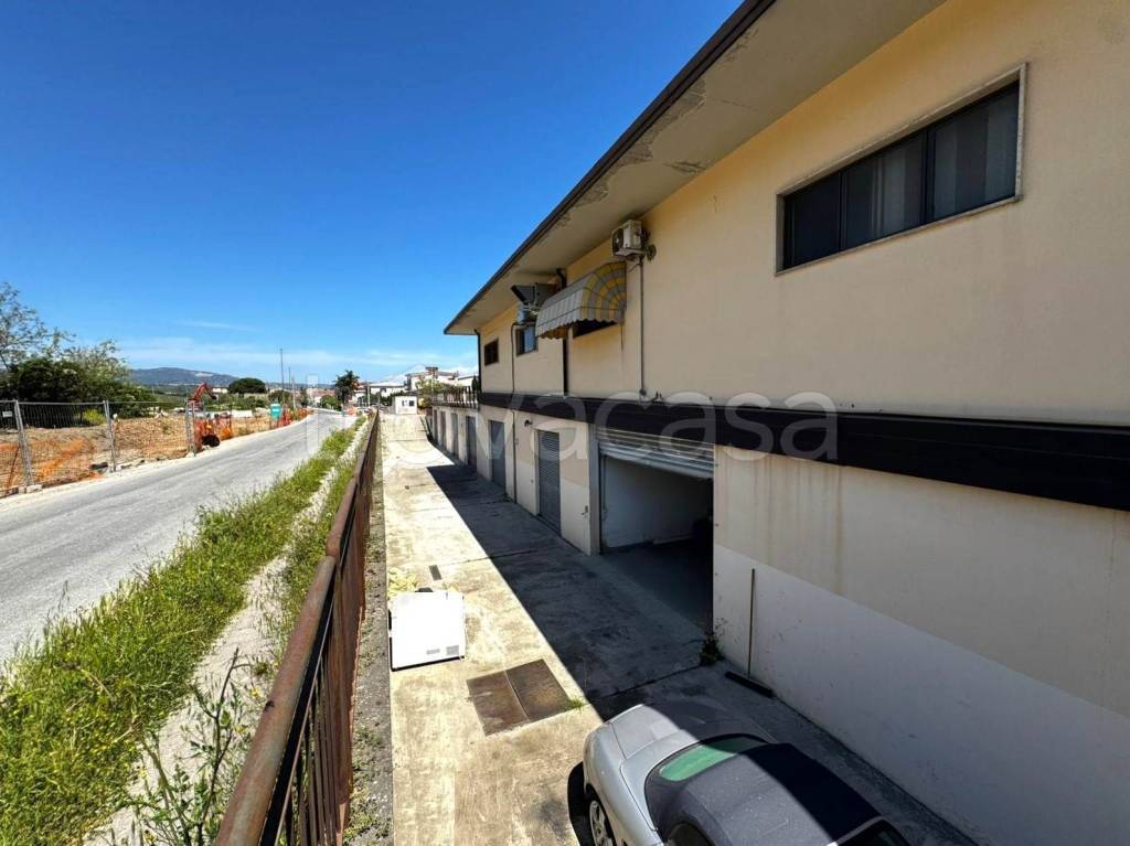 immagine annuncio 5 di 7