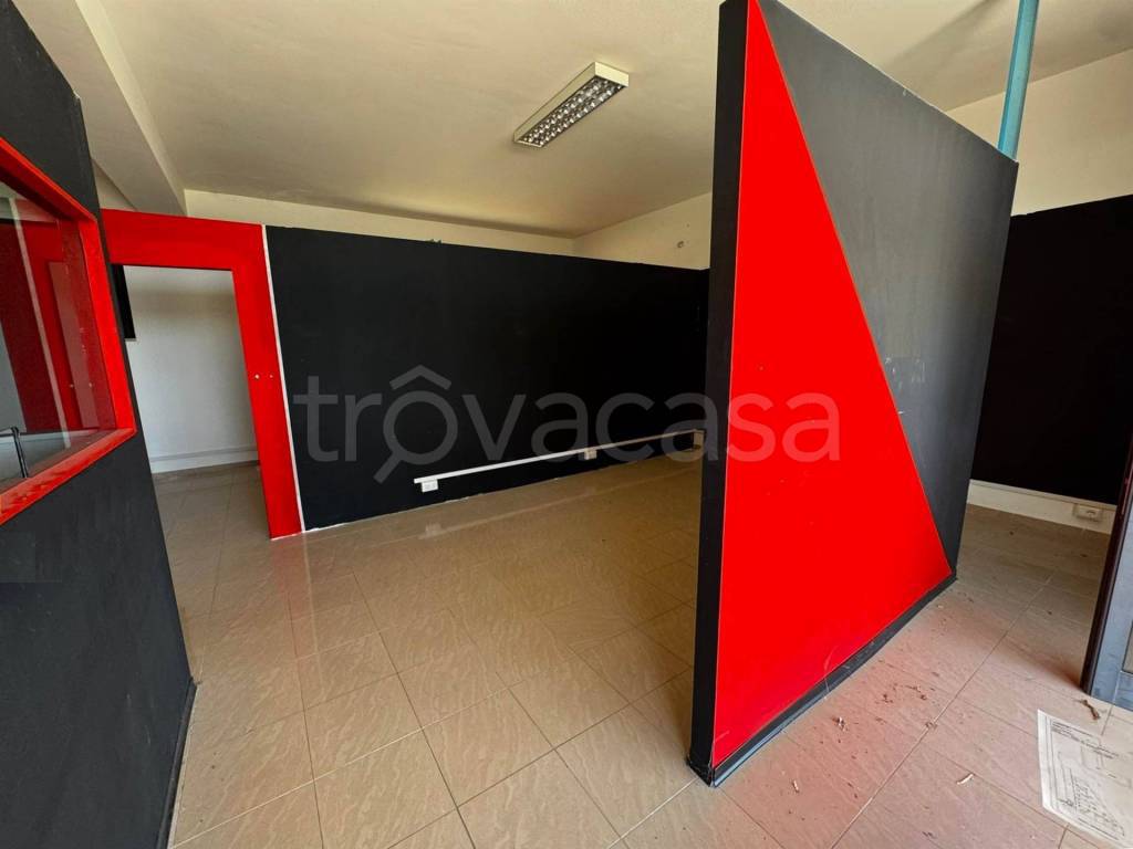 immagine annuncio 3 di 14