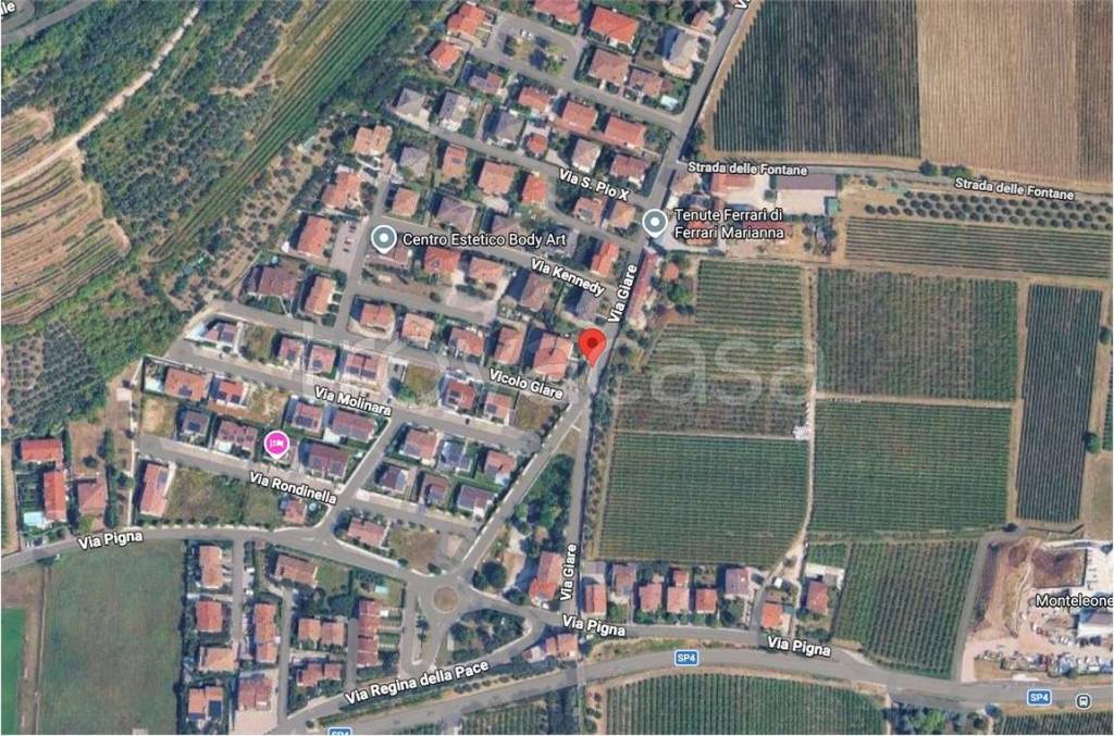 immagine annuncio 6 di 15