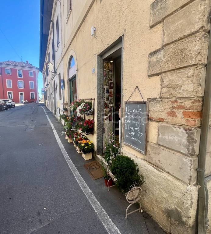 immagine annuncio 1 di 12