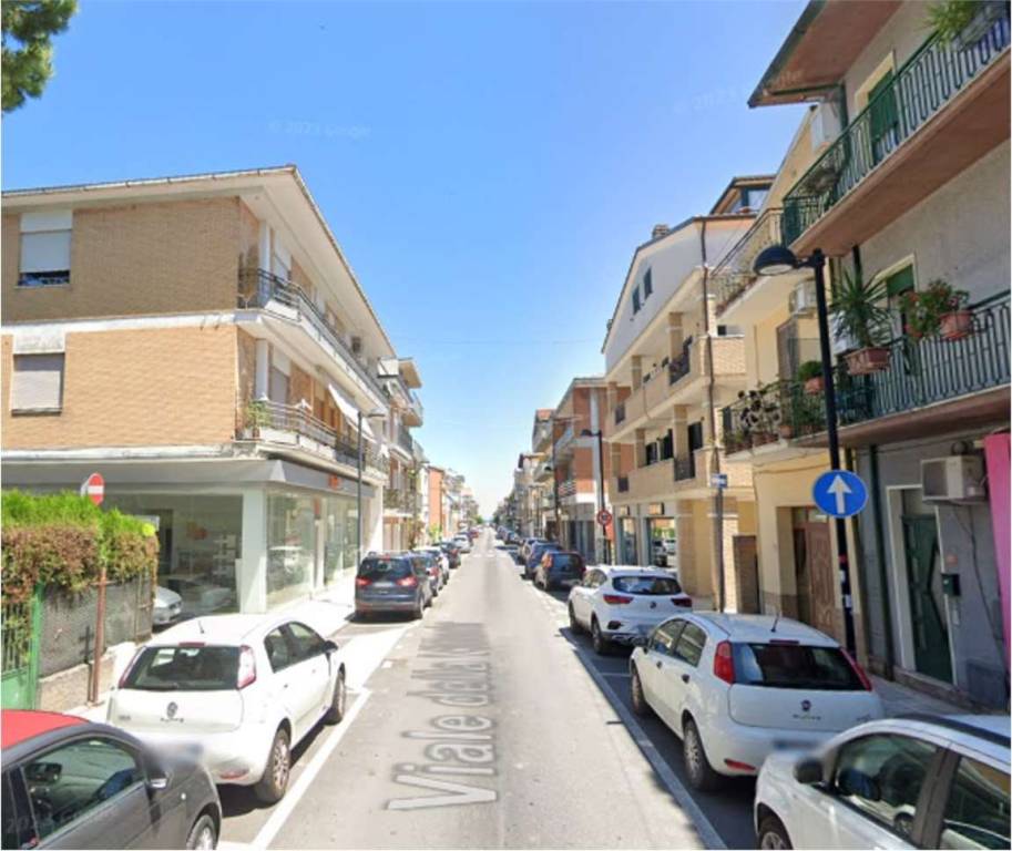 immagine annuncio 12 di 14