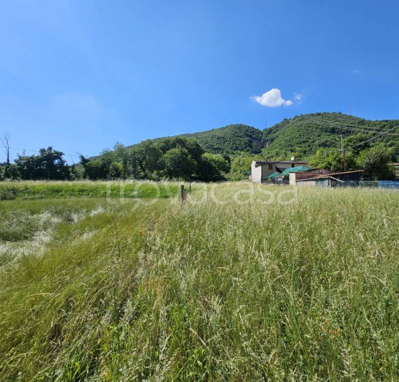 immagine annuncio 5 di 8