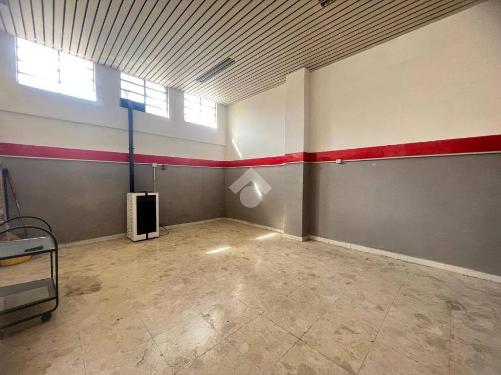 immagine annuncio 6 di 14
